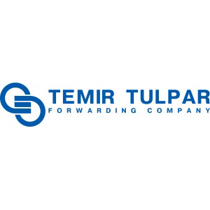 логотип Temir Tulpar