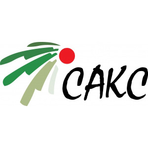 логотип Сакс